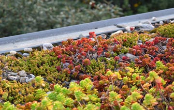 the cost of Geilston green roof installation