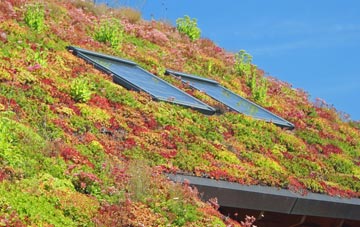 Geilston living roof systems
